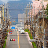春の痕跡