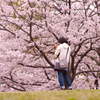 お花見 with 愛犬