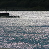 海の宝石