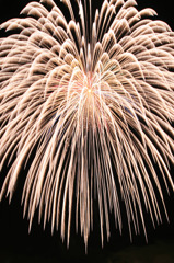 長野えびす講 2008