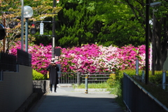 今だけの風景