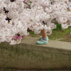 かくれんぼ