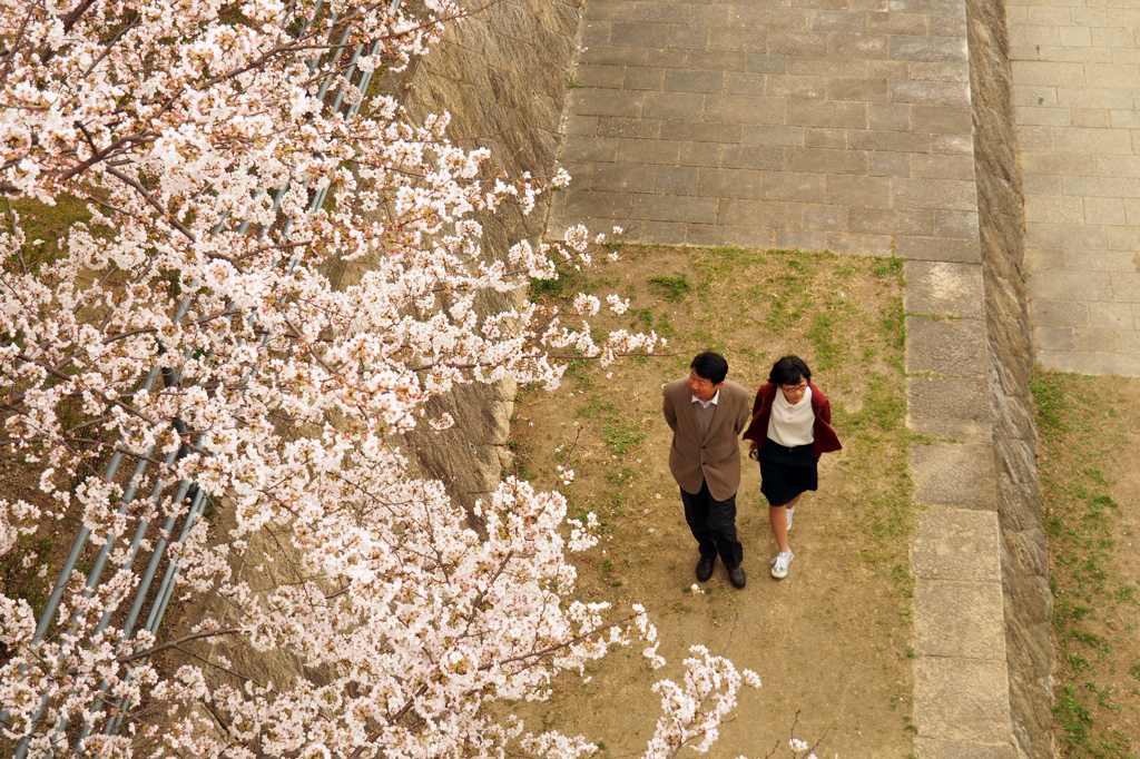 ２人の花見