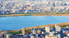 トイタウン－５