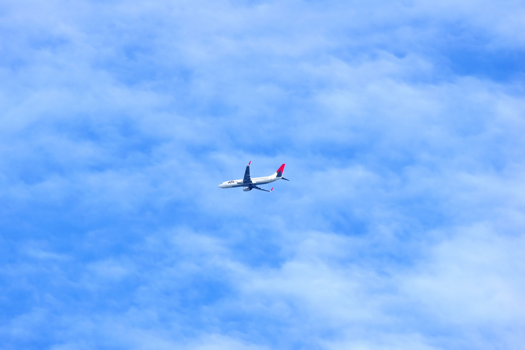 初夏の空