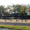 鴨川ウォーク