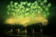 ぎおん柏崎まつり 2008