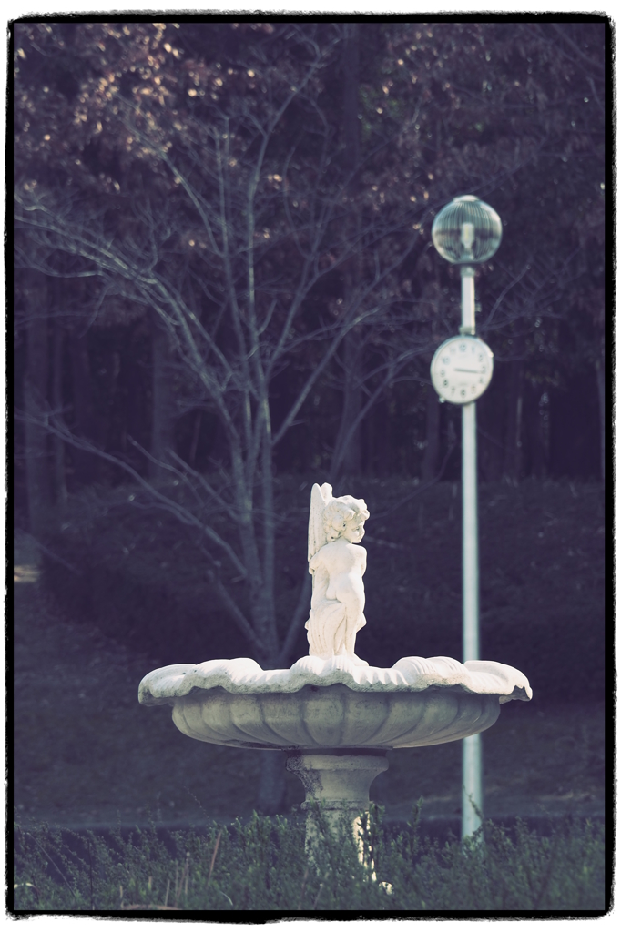 公園のアイドル