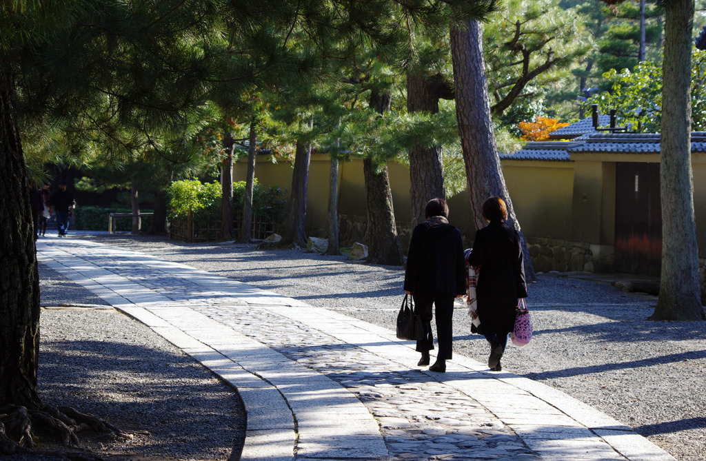 朝の大徳寺