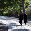 朝の大徳寺