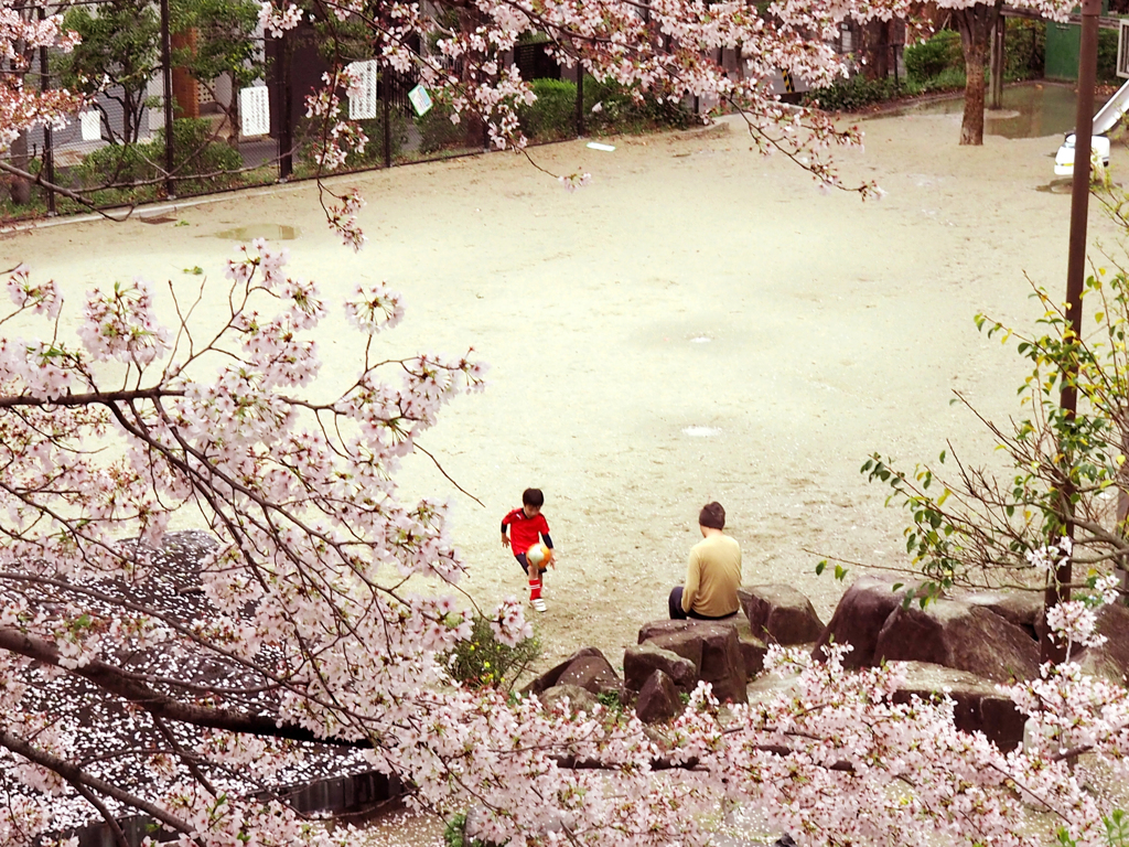 ある親子の風景
