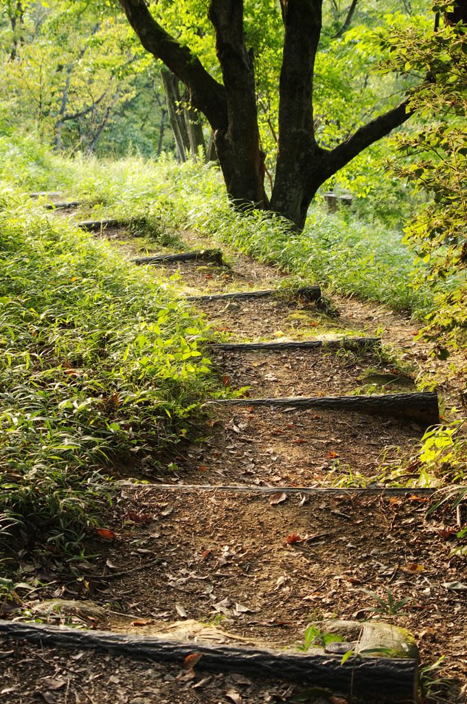 秋めく路