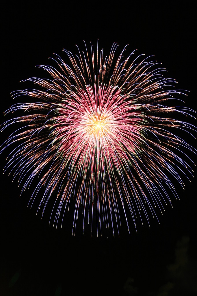 長野えびす講 2008