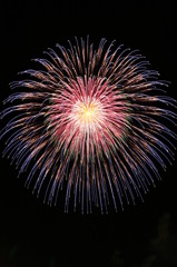 長野えびす講 2008