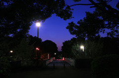 AM6:30