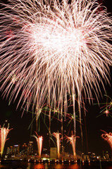 淀川花火2010