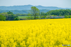 石勝線H100系