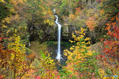 錦秋 曽利ノ滝 錦秋 曽利ノ滝