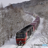 真冬の貨物列車
