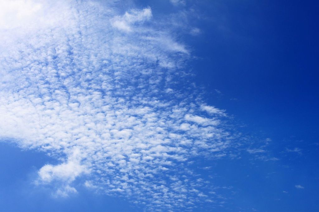 うろこ雲さん