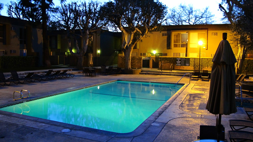 our pool