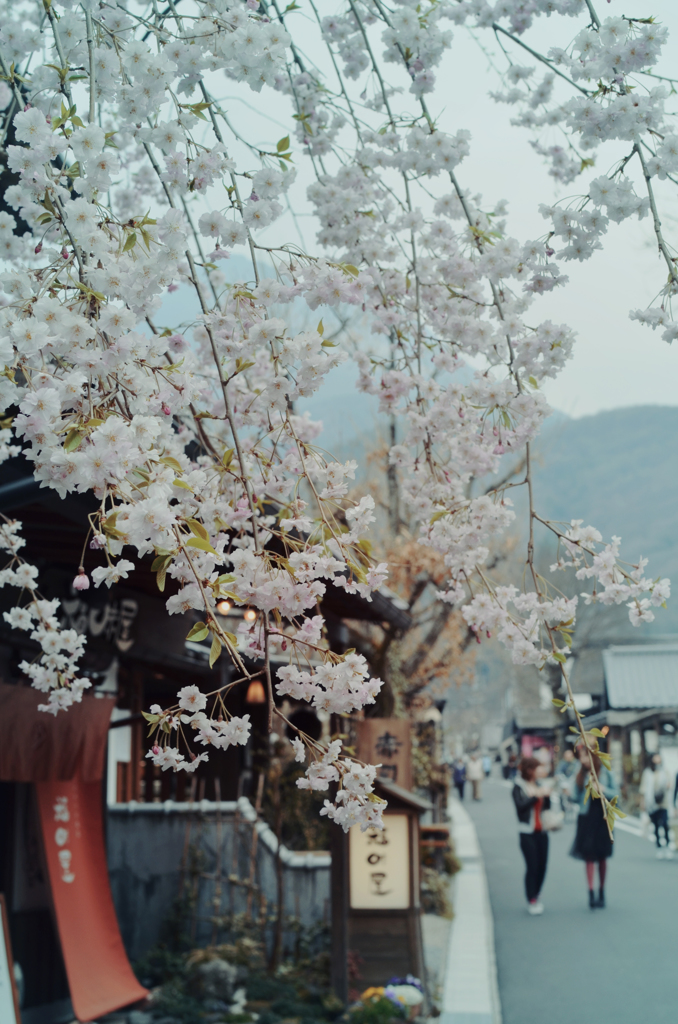 湯布院