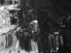 IMG_3313