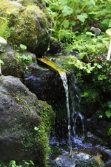 名水百選　杜々の森