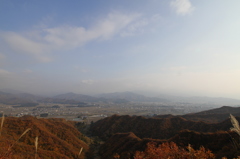 魚沼