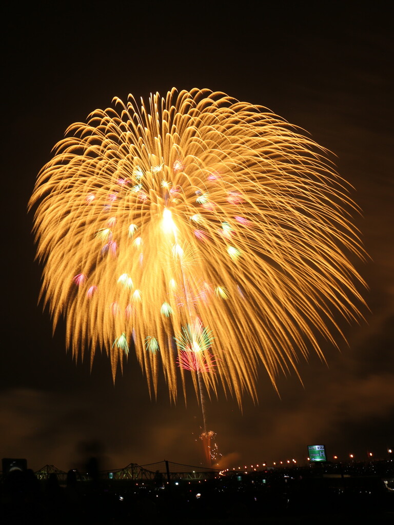 長岡まつり大花火大会2019