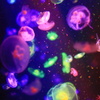 クラネタリウム2