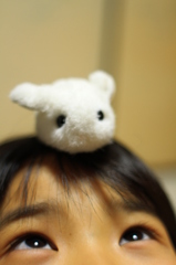 ミニうさぎ