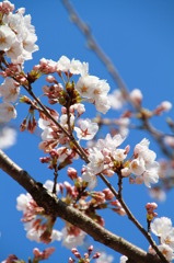 やっと