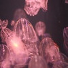 クラネタリウム1