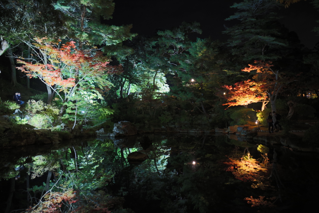 弥彦公園 もみじ谷