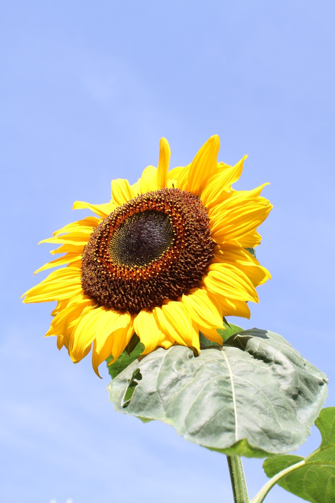 今日も暑いねー！