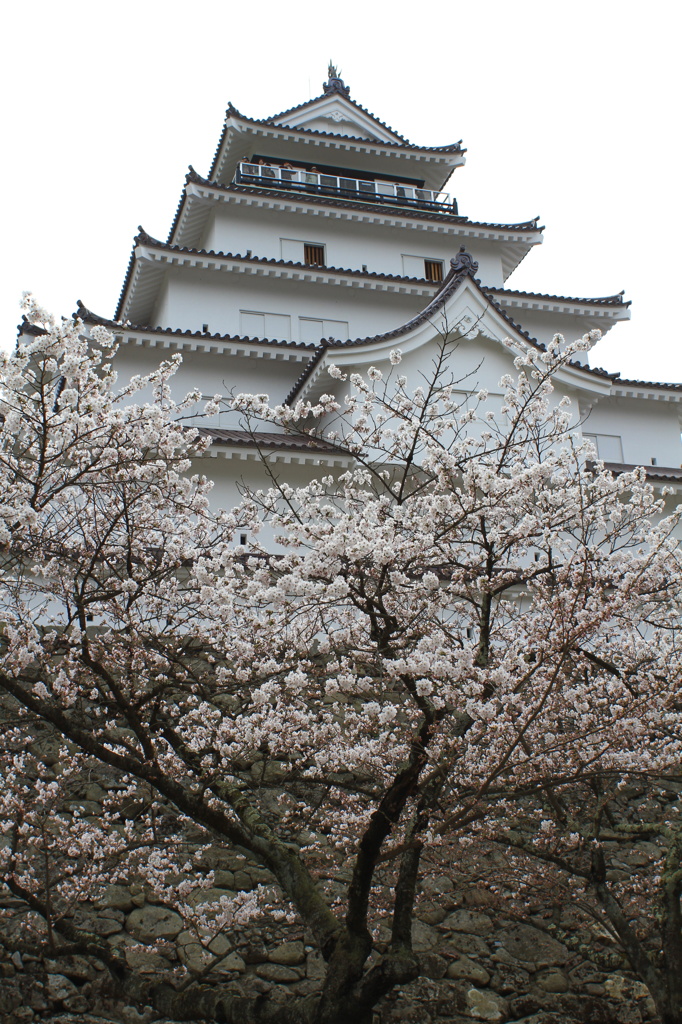 鶴ヶ城