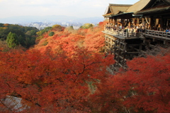 清水寺1