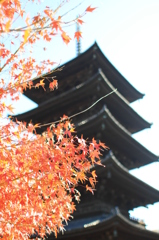 東寺2