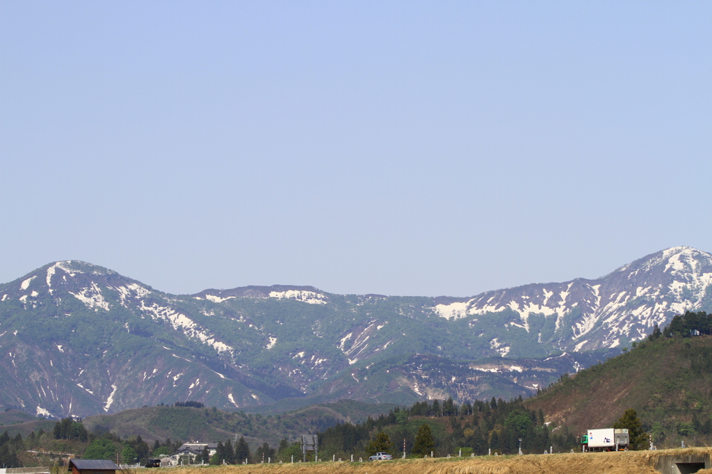 春の権現堂山