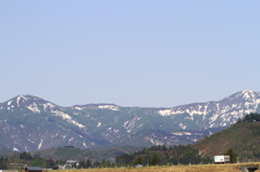 春の権現堂山