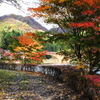 三色の道