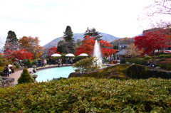 箱根強羅公園にて
