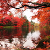 雲場池　in Autumn