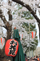 花見の醍醐味とは