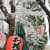 花見の醍醐味とは