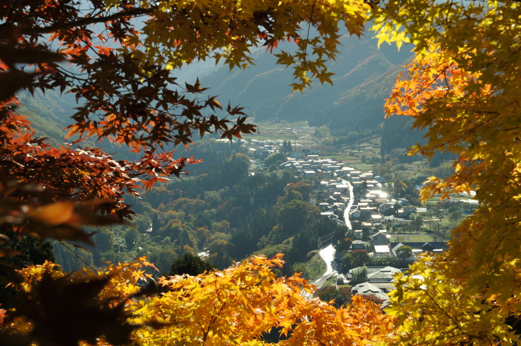 紅と黄の競演‥葉格子の向こう側