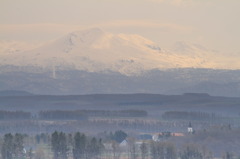 塔がある風景