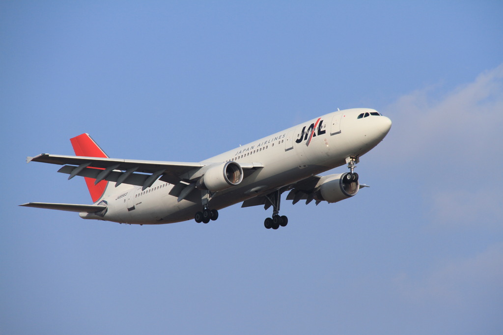 青空の下を…②