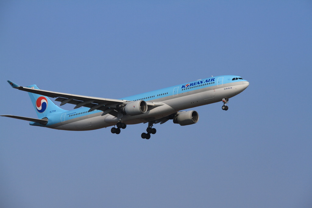 青空の下を…①